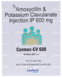 Cavmox Cv 600 Injection 1 Cavmox Cv 600 Injection 1